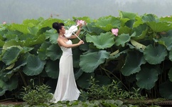 小小飞虎队下载